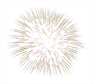 fireworks_PNG15678.png fireworks_PNG15678.png